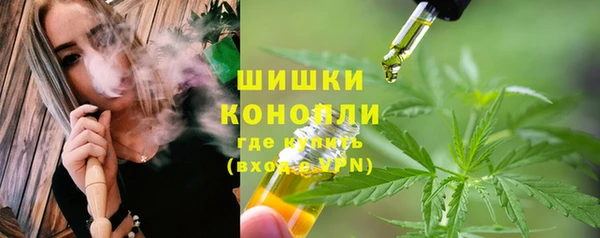 первитин Богородицк