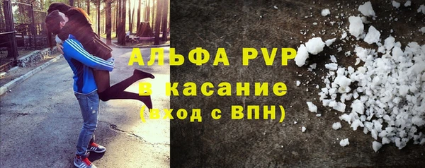стафф Богданович