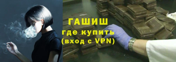 стафф Богданович